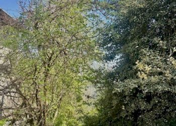 Terreno - Rustico via San Rocco, Pertica Alta - foto 1