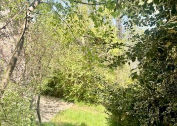 Terreno - Rustico via San Rocco, Pertica Alta - foto 11