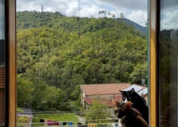 Vista - Bilocale salita alla Chiesa di Fontanegli, 21, Genova - foto 14