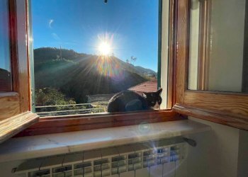 Vista - Bilocale salita alla Chiesa di Fontanegli, 21, Genova - foto 29