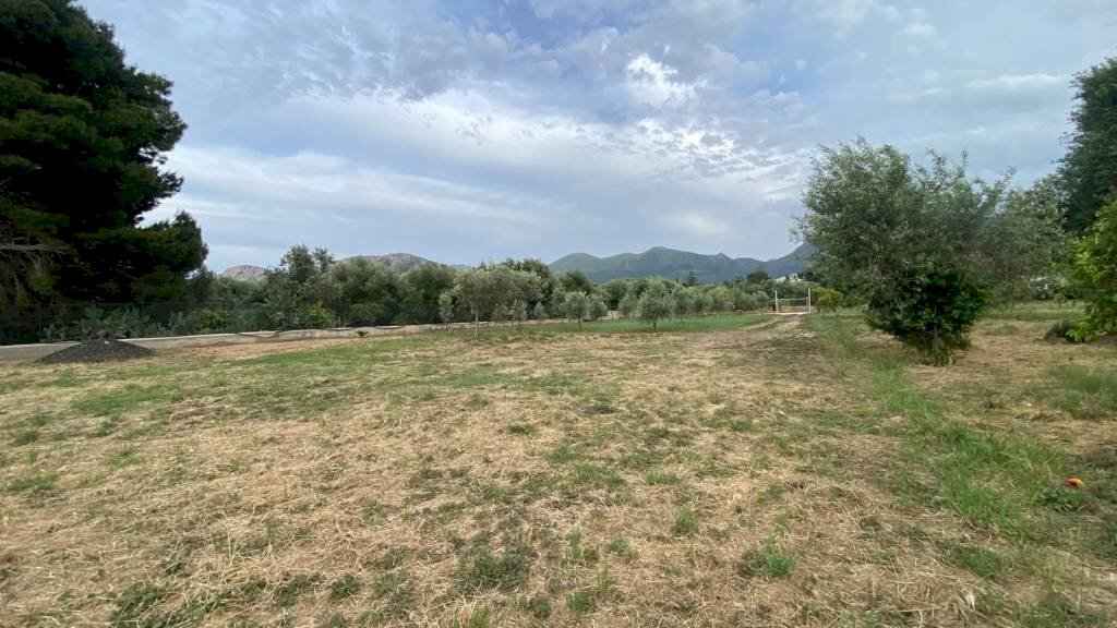 Terreno - Terreno agricolo via Ferdinando Magellano, ----, Carini - foto 1