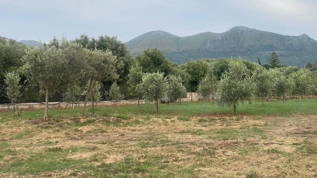 Terreno - Terreno agricolo via Ferdinando Magellano, ----, Carini - foto 3