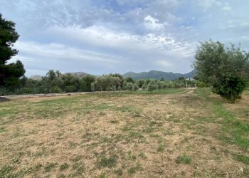 Terreno - Terreno agricolo via Ferdinando Magellano, ----, Carini - foto 1