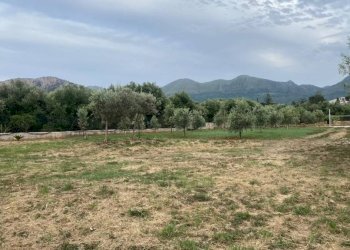 Terreno - Terreno agricolo via Ferdinando Magellano, ----, Carini - foto 2