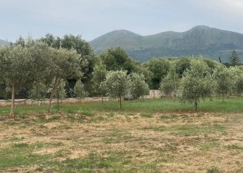 Terreno - Terreno agricolo via Ferdinando Magellano, ----, Carini - foto 3