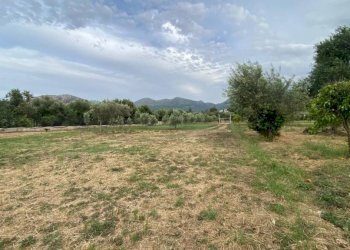 Terreno - Terreno agricolo via Ferdinando Magellano, ----, Carini - foto 5