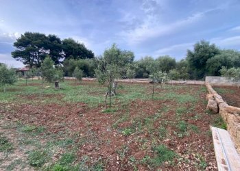 Terreno - Terreno agricolo via Ferdinando Magellano, ----, Carini - foto 6