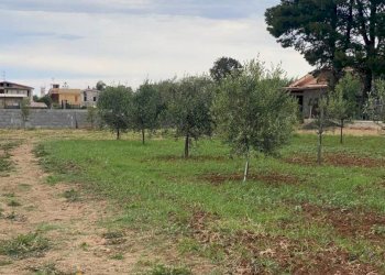 Terreno - Terreno agricolo via Ferdinando Magellano, ----, Carini - foto 9