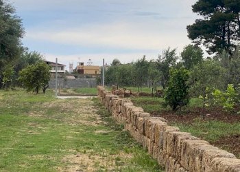 Terreno - Terreno agricolo via Ferdinando Magellano, ----, Carini - foto 10