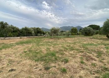 Terreno - Terreno agricolo via Ferdinando Magellano, ----, Carini - foto 11