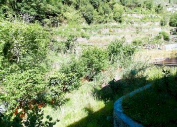 Terreno - Villa via Banchi, Avegno - photo 10