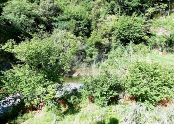 Terreno - Villa via Banchi, Avegno - photo 11