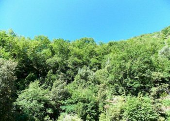 Vista - Villa via Banchi, Avegno - photo 13