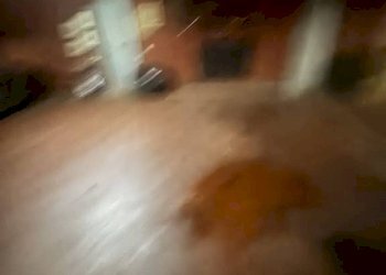 Posto macchina - Three-room apartment via degli Urali, Roma (neighborhood EUR) - photo 8