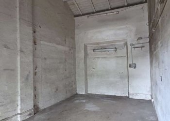 whatsapp image 2026-05-13 at 19.00.28 - Warehouse via san giuseppe cafasso, Roma - photo 2