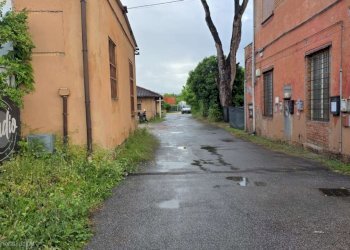 whatsapp image 2026-05-13 at 19.00.36 - Warehouse via san giuseppe cafasso, Roma - photo 18