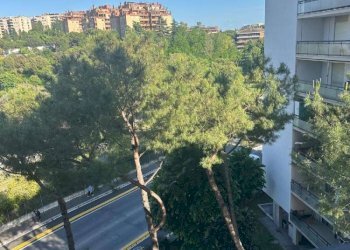 Viste 1. - Apartment via Fiume Bianco, Roma (neighborhood Torrino) - photo 16