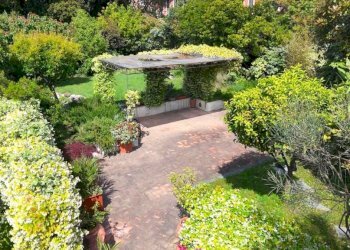Giardino - Villa corso Carbonara, 7A, Genova (zona Principe) - foto 9