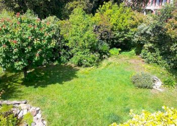Giardino - Villa corso Carbonara, 7A, Genova (zona Principe) - foto 40