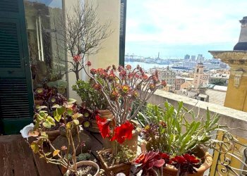 Vista - Villa corso Carbonara, 7A, Genova (zona Principe) - foto 41
