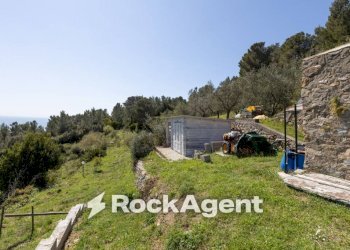 Terreno - Villa via delle Vignacce, 18, Livorno - foto 14