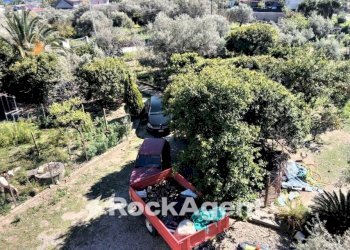 Giardino - Casa indipendente contrada Luppinati, Ardore - foto 24