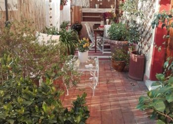 Giardino - Casa indipendente via Cappella, 1907, Seravezza - foto 19