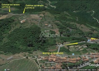 MS81_lotto coloniche ceserano.jpg - Portion of a house Fivizzano - photo 5