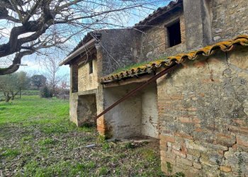 20260227_154320 - Casale Via Dante Alighieri 13, Acquasparta - photo 7