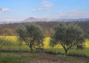 20260227_154248 - Casale Via Dante Alighieri 13, Acquasparta - photo 9