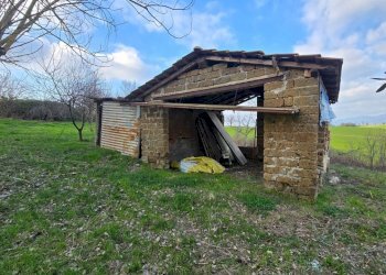 20260227_154120 - Casale Via Dante Alighieri 13, Acquasparta - photo 14