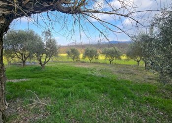 20260227_154236 - Casale Via Dante Alighieri 13, Acquasparta - photo 15