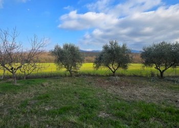 20260227_154131 - Casale Via Dante Alighieri 13, Acquasparta - photo 21