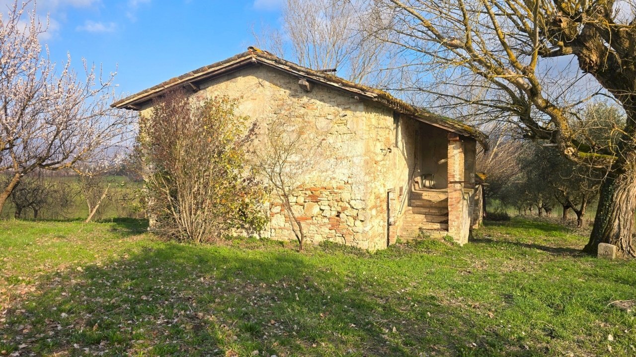 20260227_154355 - Casale Via Giacomo Matteotti 2, Acquasparta - foto 1