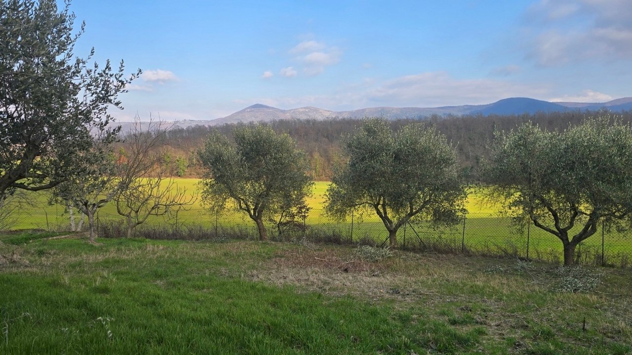 20260227_154255 - Casale Via Giacomo Matteotti 2, Acquasparta - foto 3