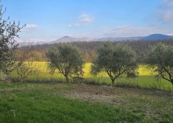 20260227_154255 - Casale Via Giacomo Matteotti 2, Acquasparta - photo 3
