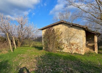 20260227_154405 - Casale Via Giacomo Matteotti 2, Acquasparta - photo 8