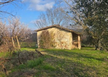 20260227_154452 - Casale Via Giacomo Matteotti 2, Acquasparta - photo 11
