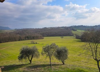 20260227_152421 - Casale Via Tuderte Amerina 21, Acquasparta - photo 6
