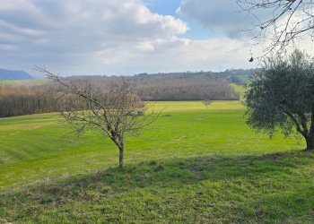 20260227_153352 - Casale Via Tuderte Amerina 21, Acquasparta - photo 17
