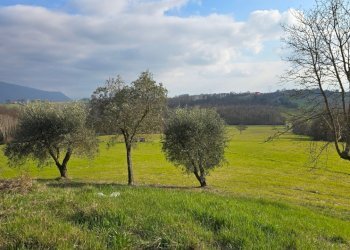 20260227_152526 - Casale Via Tuderte Amerina 21, Acquasparta - photo 18