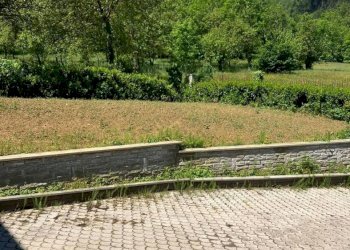 Villa Vignolo - photo 4