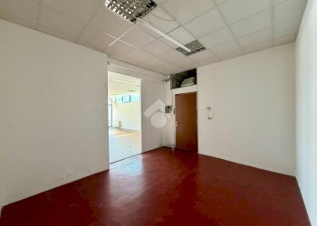 Negozio Strada Provinciale Nord, Novellara - foto 12