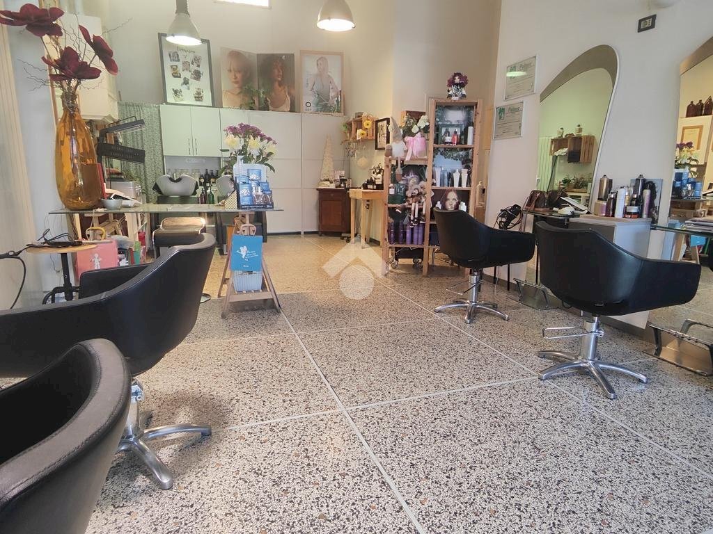 Commercial Activity Via Zacconi, Bologna (neighborhood San Donato) - photo 2