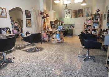 Commercial Activity Via Zacconi, Bologna (neighborhood San Donato) - photo 3