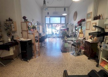 Commercial Activity Via Zacconi, Bologna (neighborhood San Donato) - photo 4