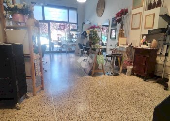 Commercial Activity Via Zacconi, Bologna (neighborhood San Donato) - photo 5