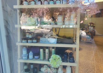 Commercial Activity Via Zacconi, Bologna (neighborhood San Donato) - photo 9
