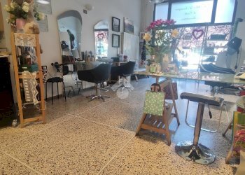 Commercial Activity Via Zacconi, Bologna (neighborhood San Donato) - photo 11