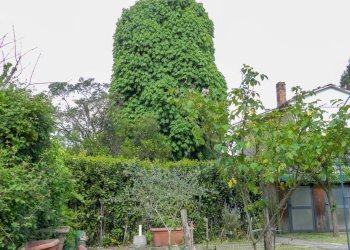 Foto 38 - Semi-detached house Lucca - photo 32